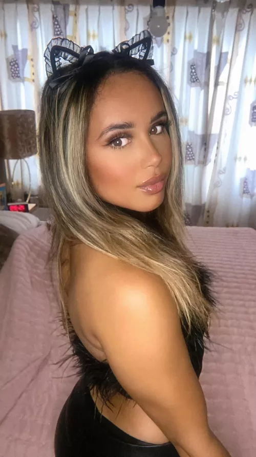 Somali x Dutch x Italian 😼🖤