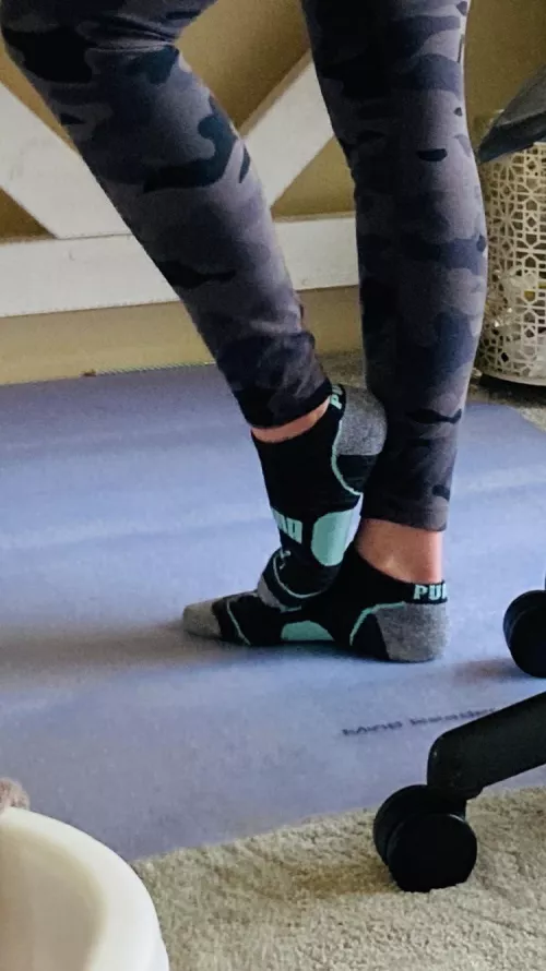 Some new Pumas today