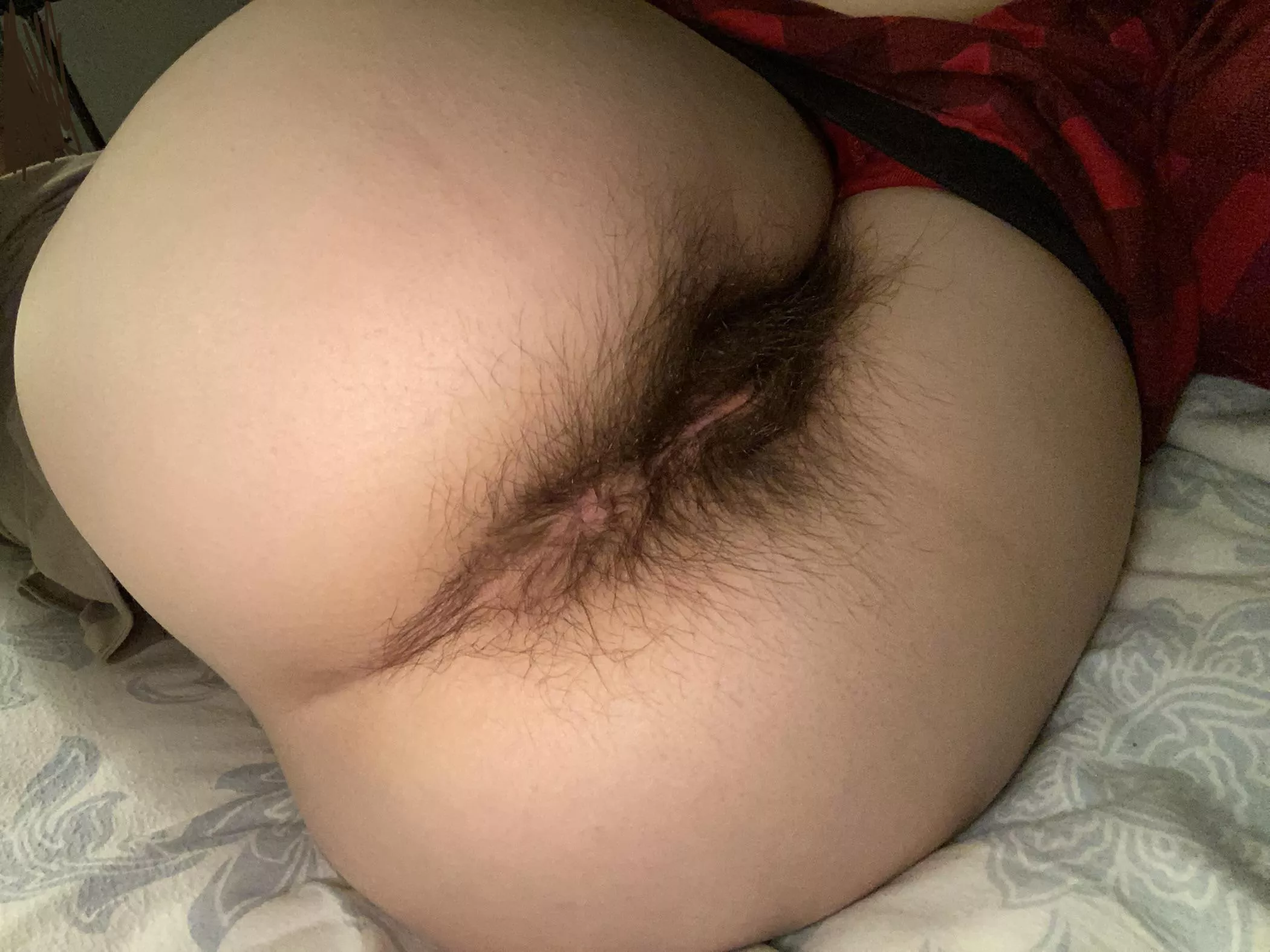 Some of you have asked for a clearer view… :) Some of you have asked for a clearer view… :)