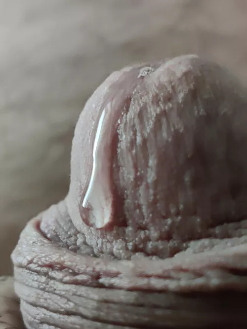 Some Pre on hump day.