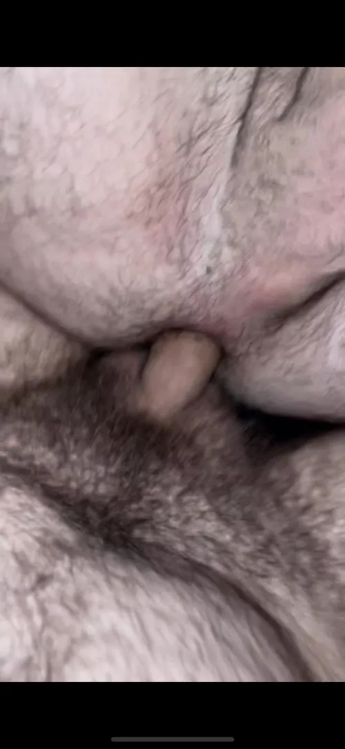 some sweaty pig fun
