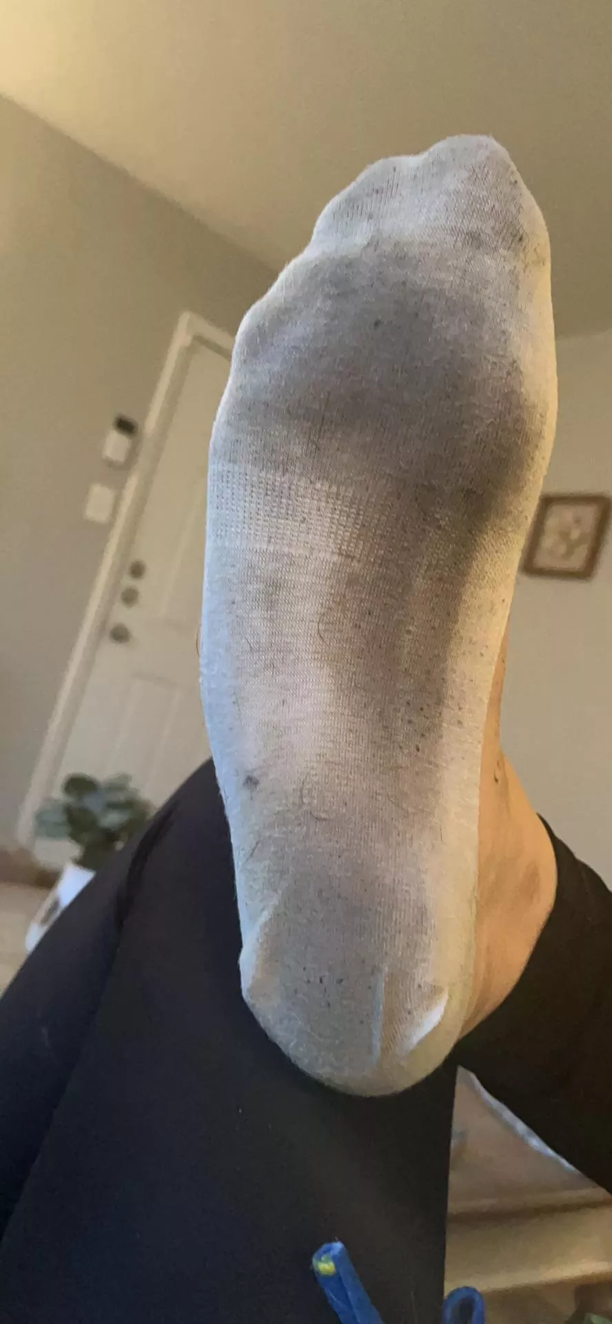 Someone canceled their order. On day 10! Anyone interested?