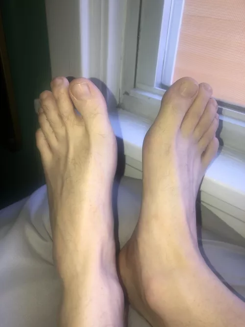 Someone come worship these morning toes ๐