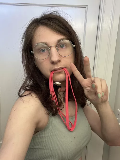 Someone take me for walkies 🥺