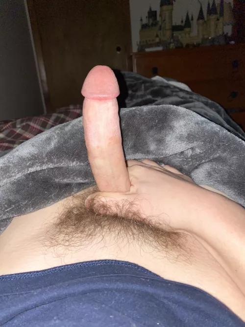 Someone trade with me