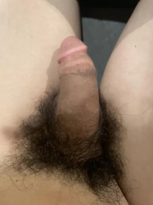 Someone wanna eat this?