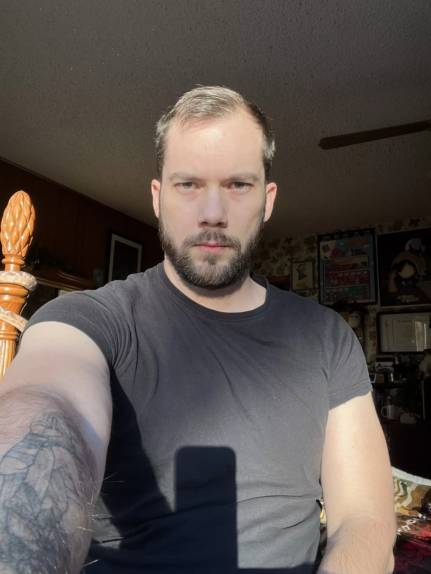 Sometimes the sun hits just right