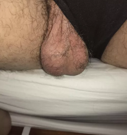 Sometimes they just slip out for a sneak peek. 👀 (27)