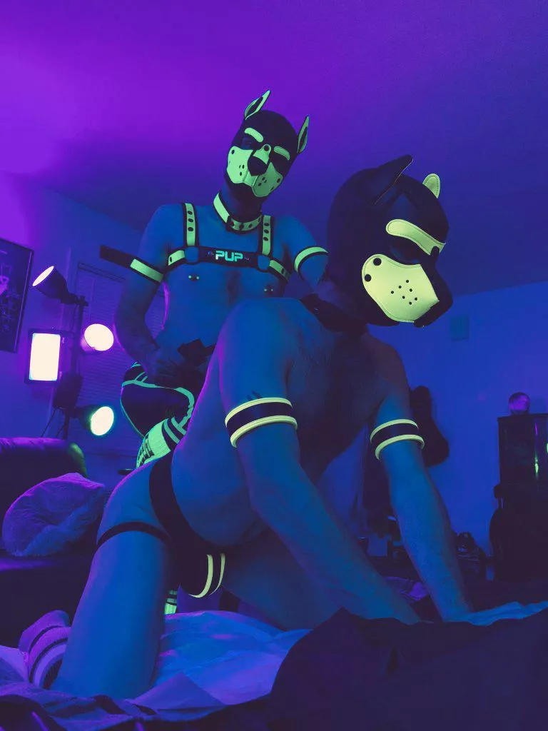 Sometimes you have to keep a tight hold on your pup 😈