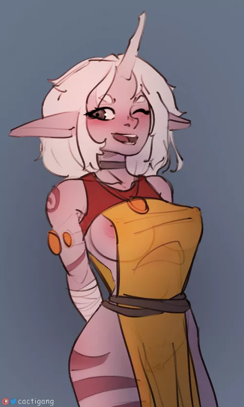 Soraka (cactigang)