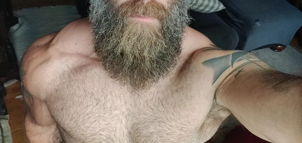 Sorry if the beard gets in the way of the chest hair. š