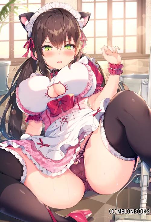 So-Sorry master I didn't see you