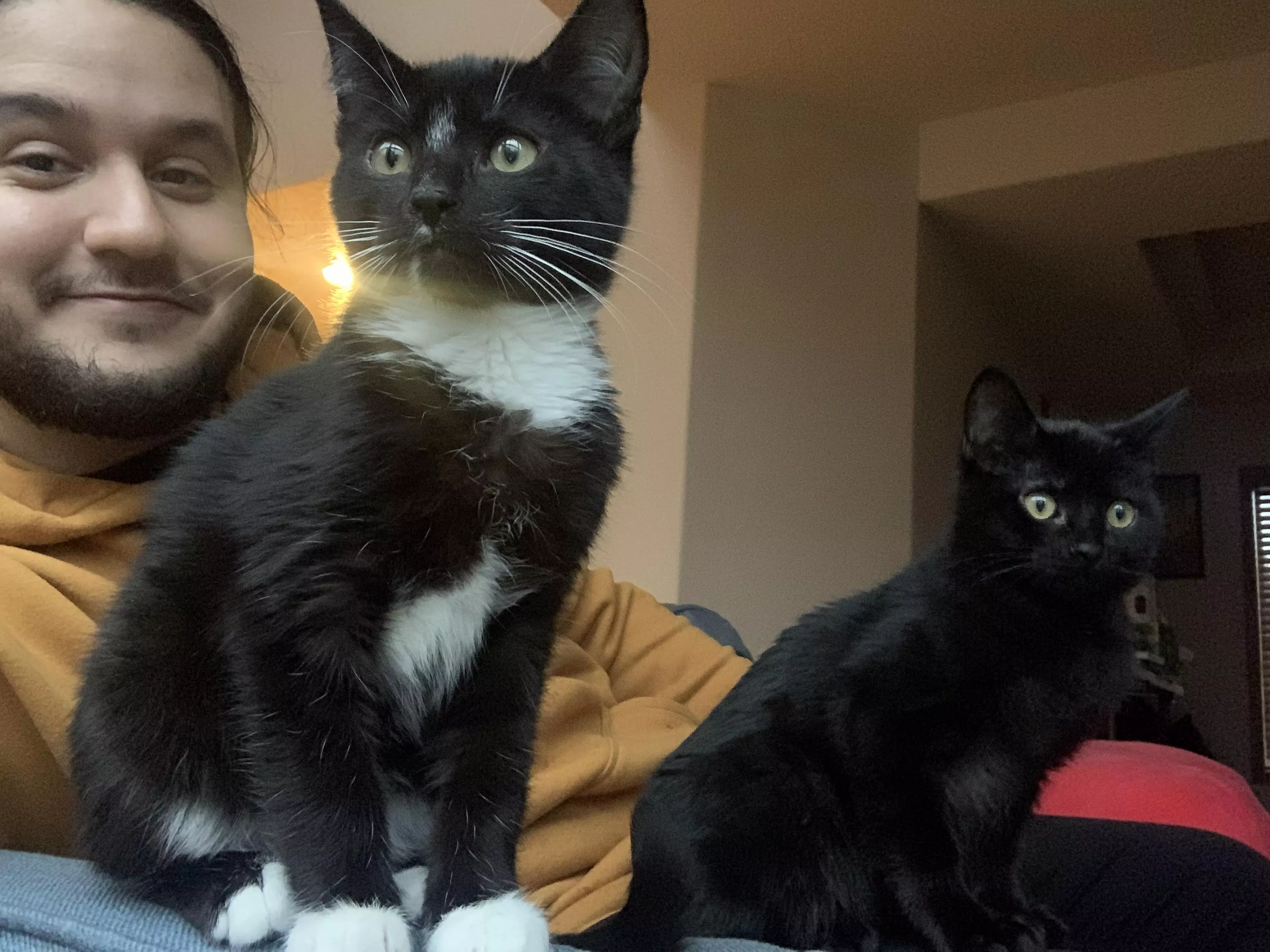 Spending today with these boys + some switch games Spending today with these boys + some switch games