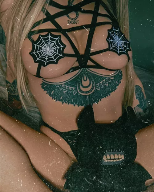 spiderweb nips ๐ธ๏ธ