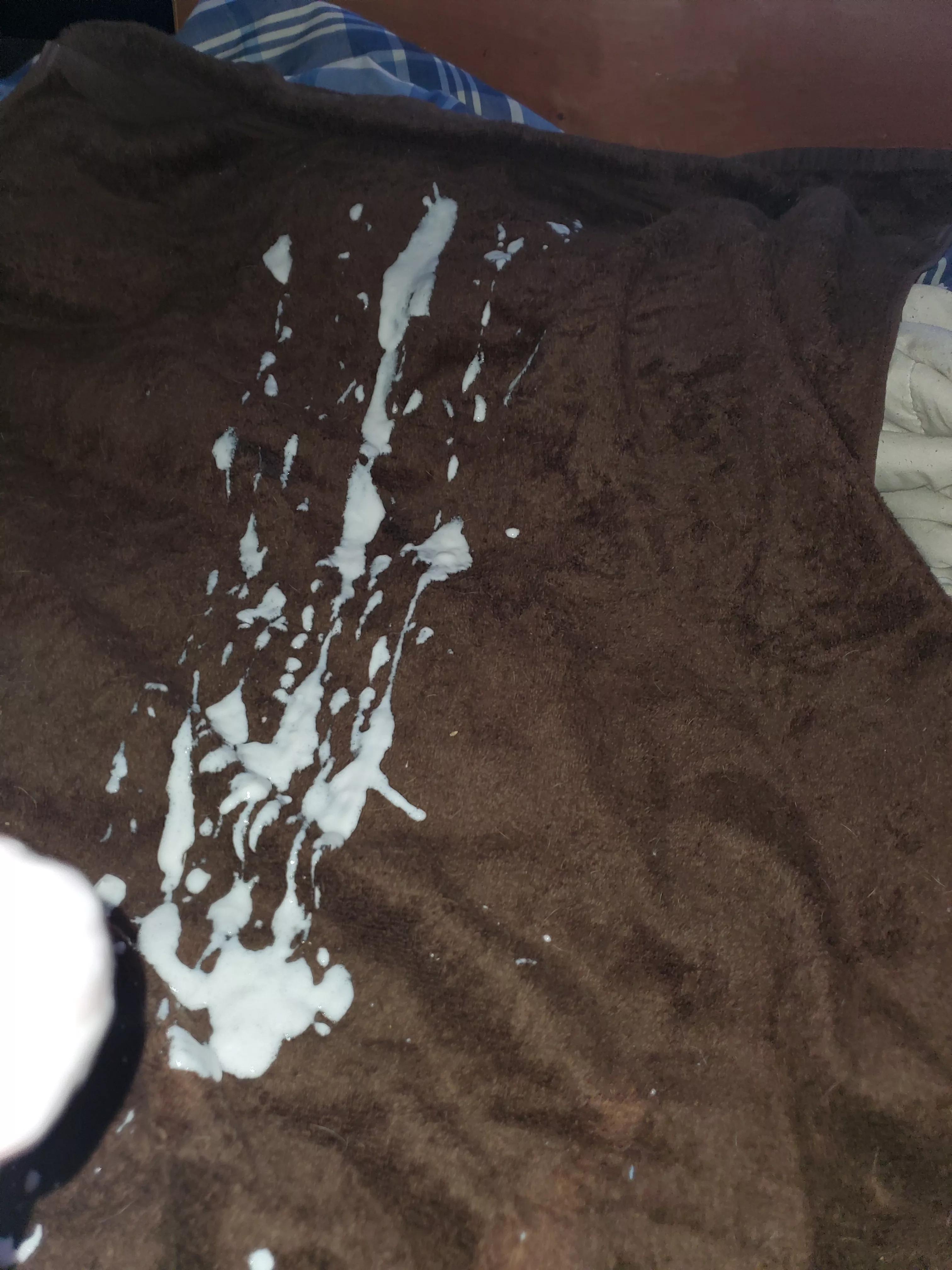SPLAT (2 dat edge) SPLAT (2 dat edge)