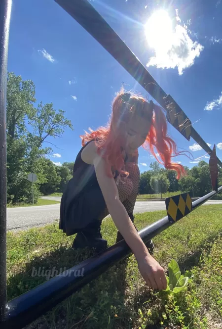 spooky can be cute too 🥳