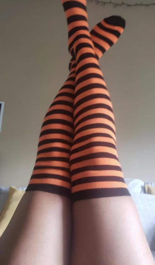 Spooky&Comfy