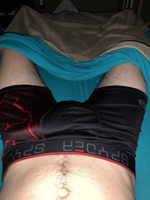 Spyder briefs