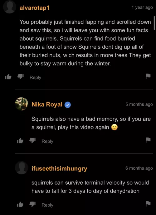 Squirrels