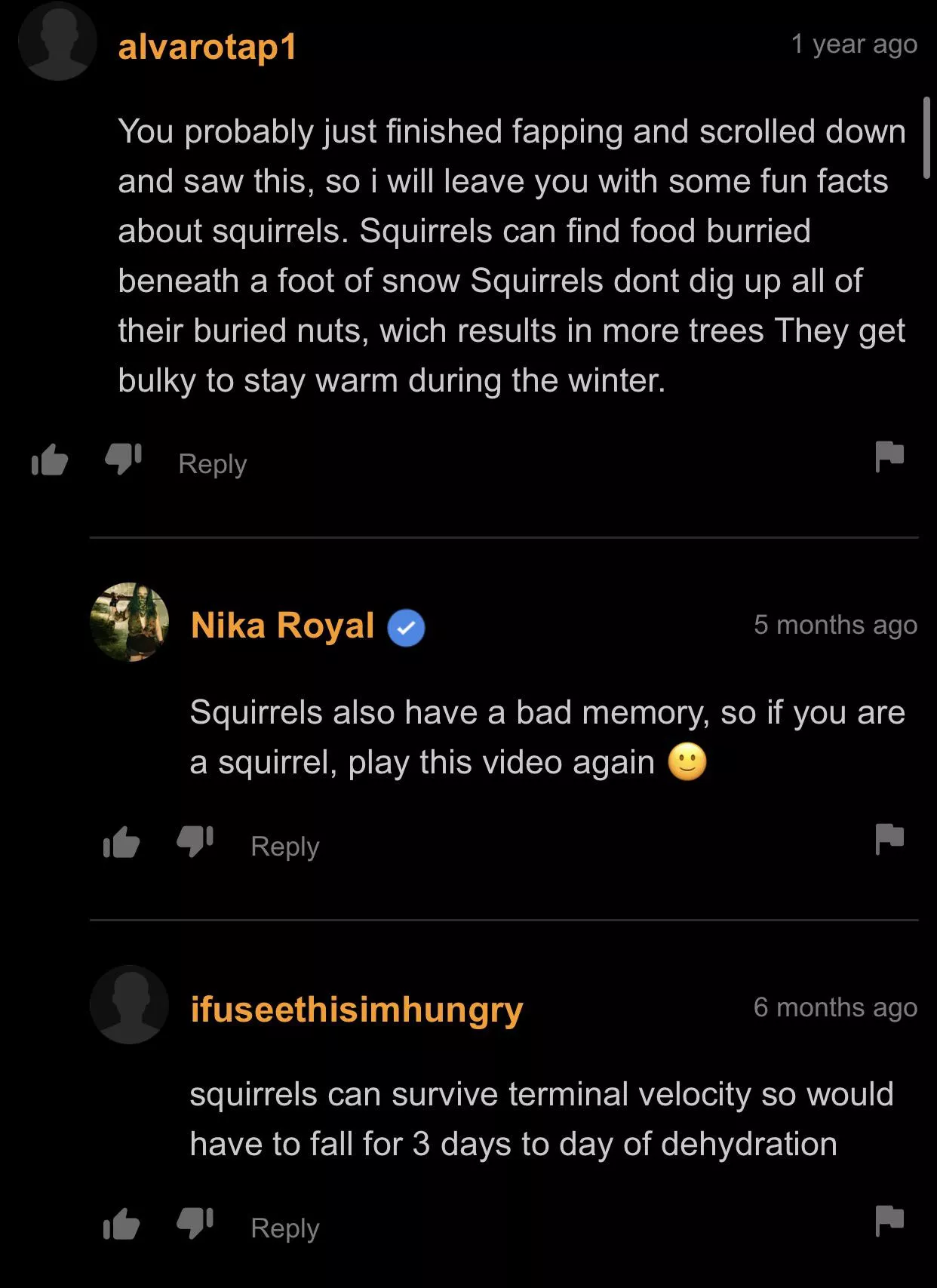 Squirrels