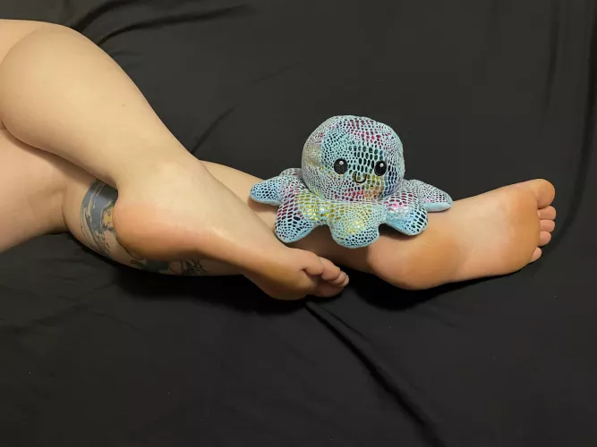 Squishy says hi 🤗