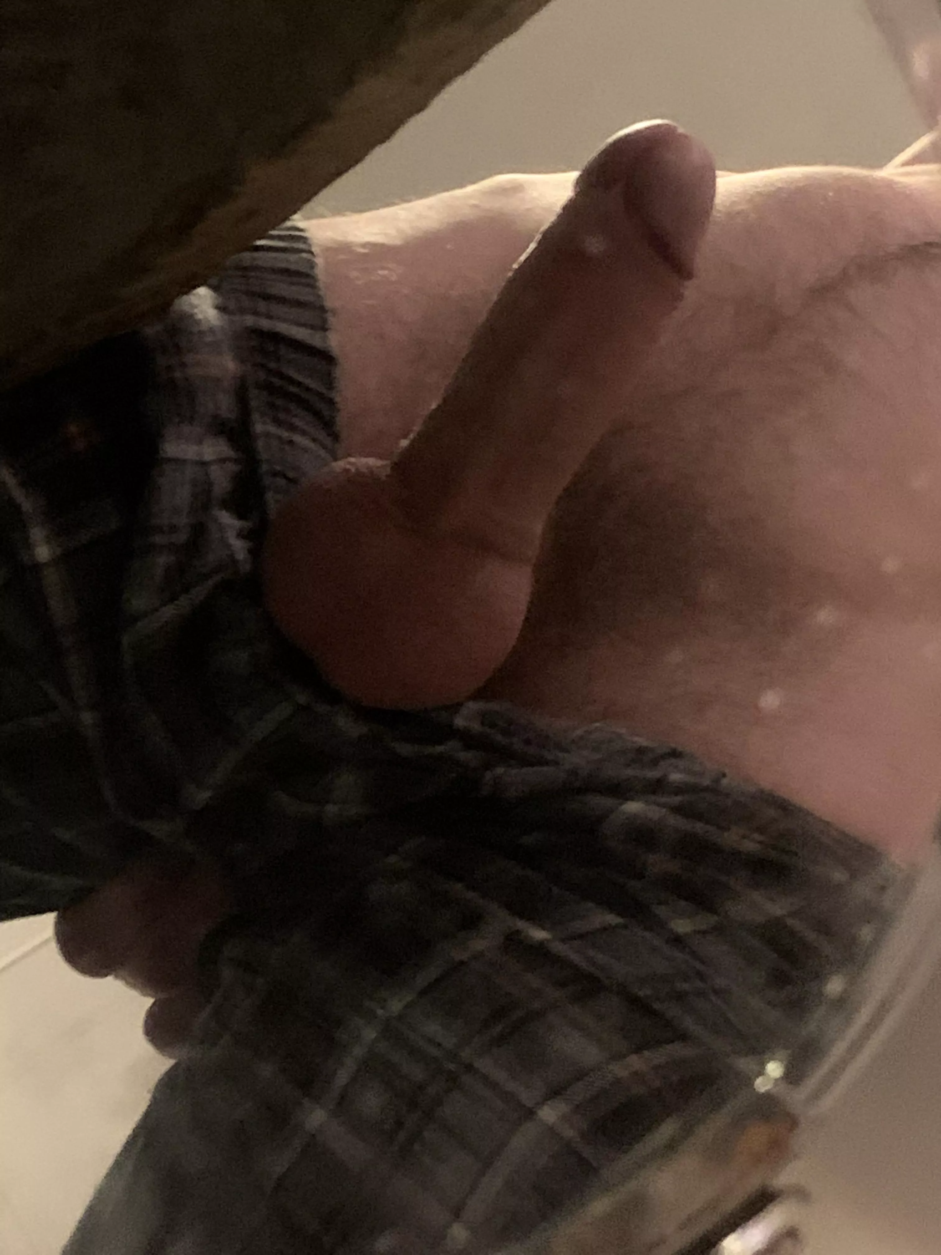 Standing proud this morning