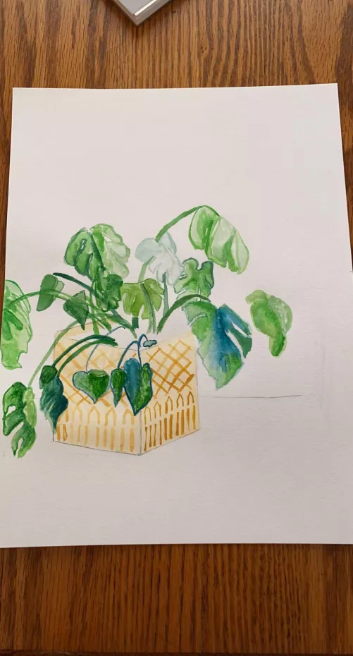 Started a still life for ddy today 👩‍🎨☺️ (new to watercolors😬)