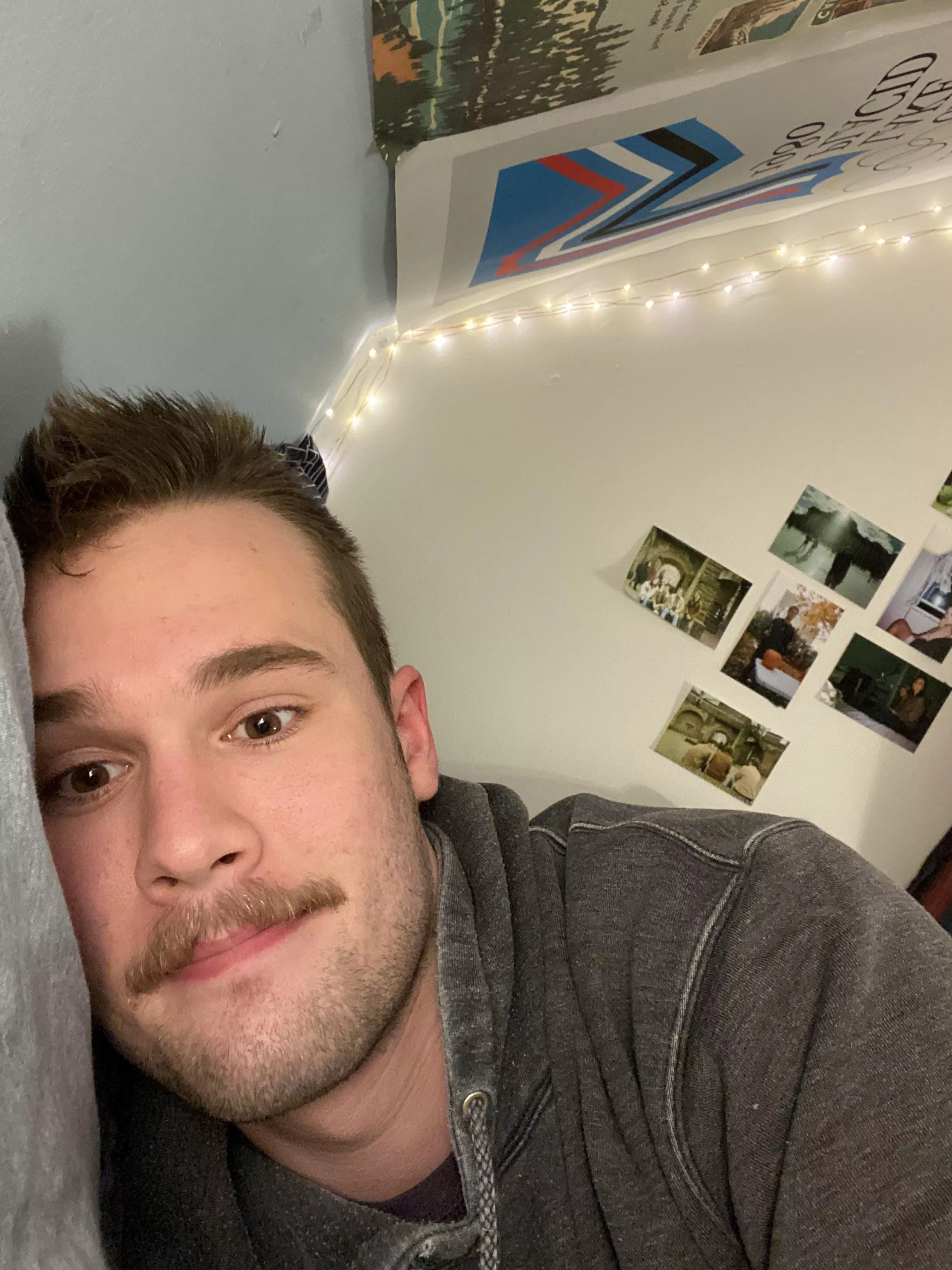 Started as a bit but the mustache is growing on me Started as a bit but the mustache is growing on me