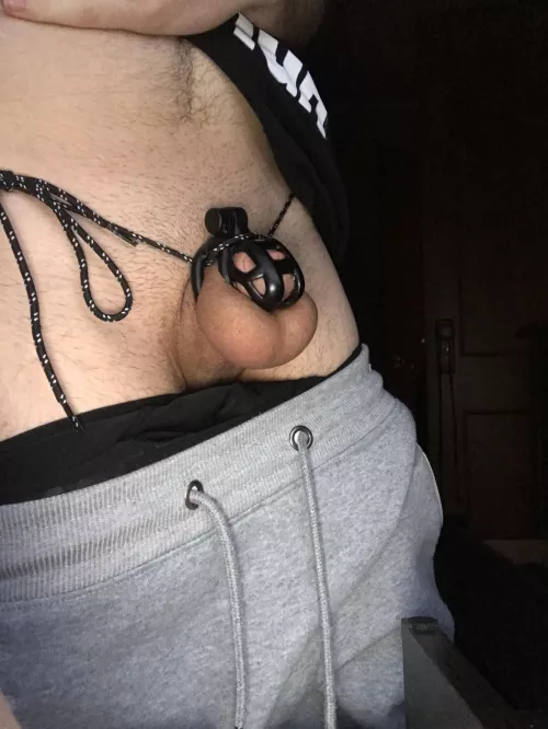 Starting day 1 of 974 morning verification caged!