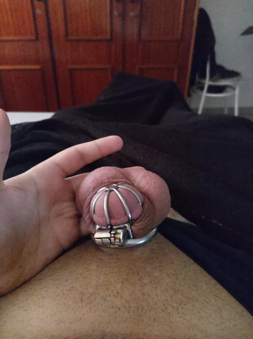 Starting over this week. Any ideas on how to keep it on for longer? Was thinking until end of month at least