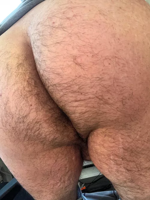 Starting to get nice and hairy back there