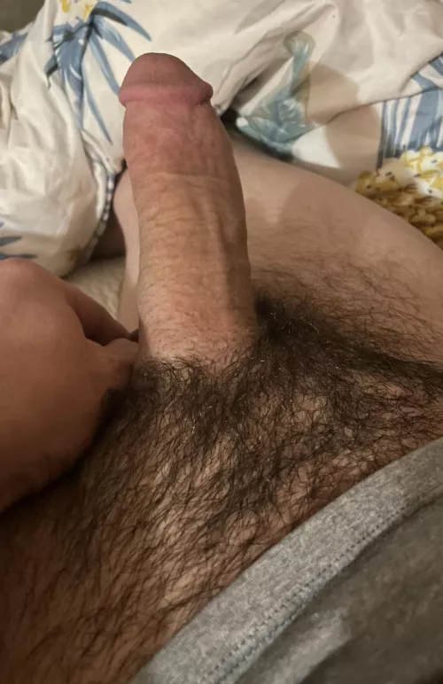 Starting to grow back in. What do you think?