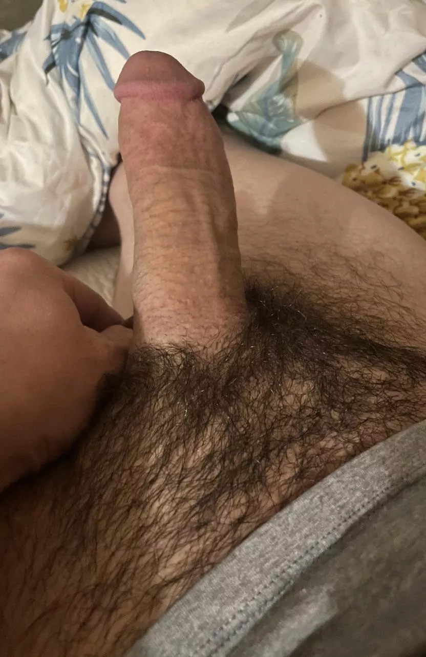 Starting to grow back in. What do you think?