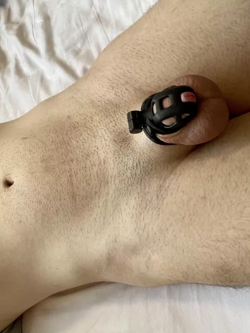 Starting to really enjoy this new cage