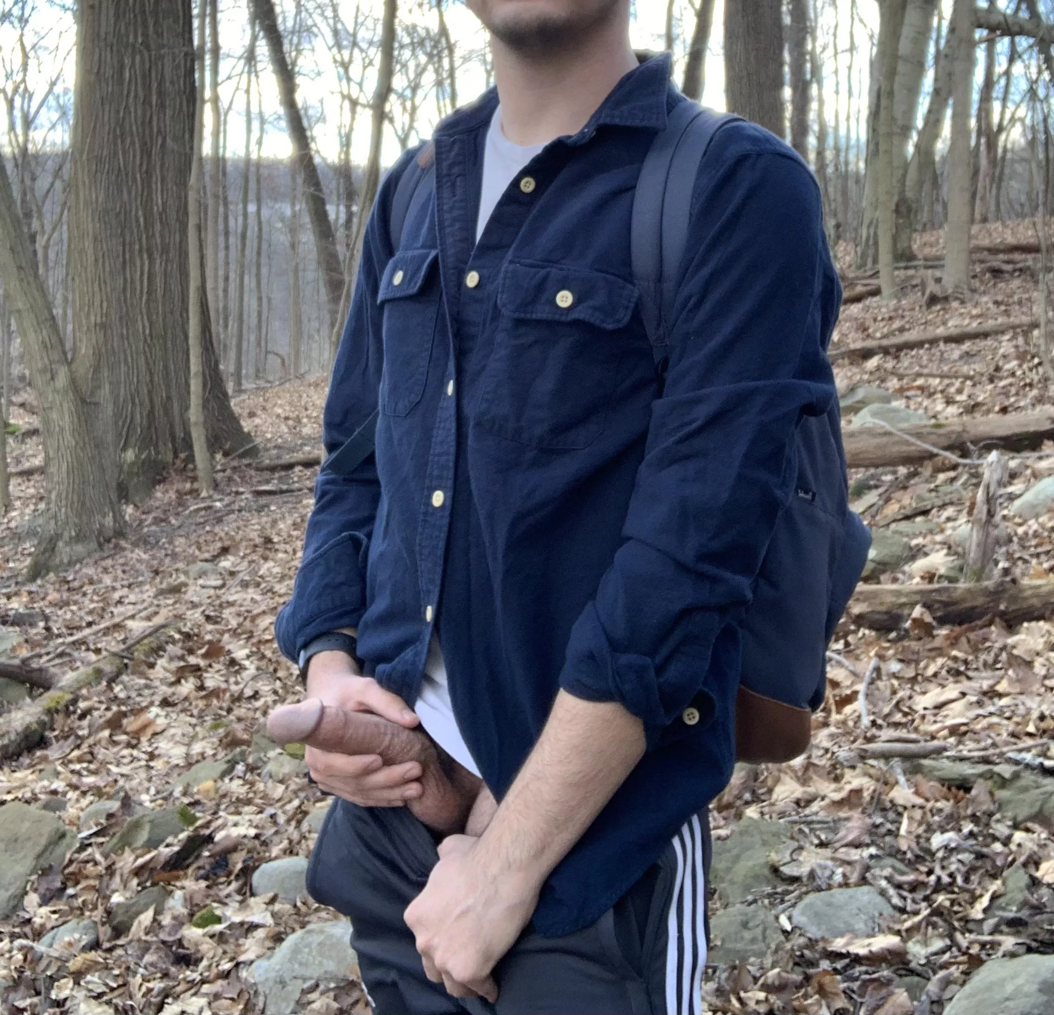 Stepped off the trail