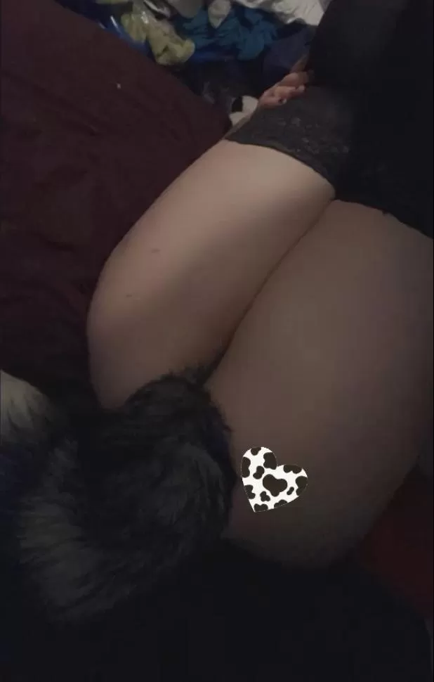 Still a cow at heart, even with my wolf tail 😋