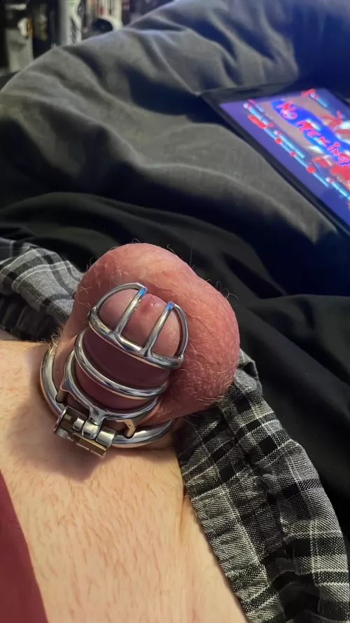 Still locked in my cage and so desperate to be let out. My master doesn’t want me cumming for a long time 🙈