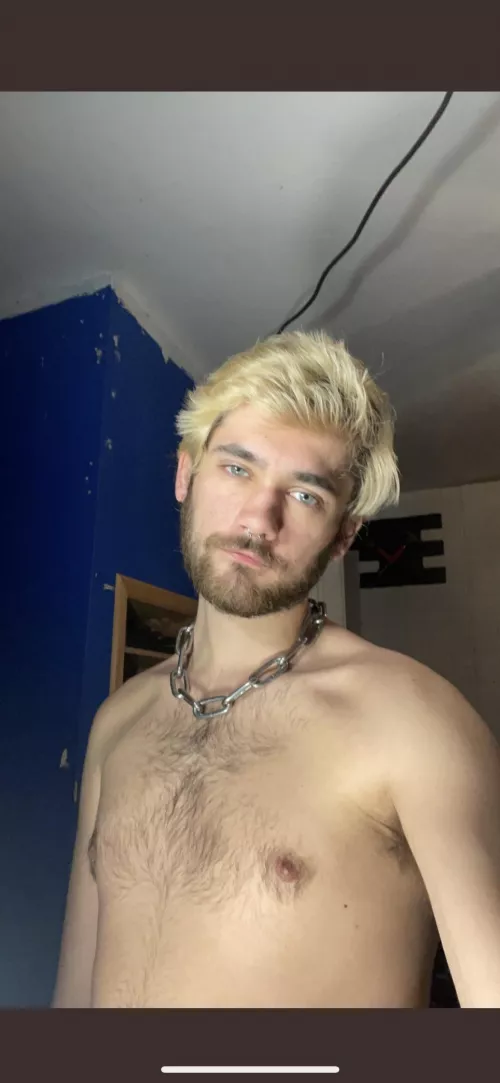 stole the bfs chain