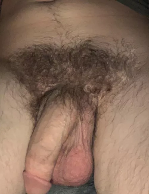 Stopped trimming a month ago, wish I had let the bush grow sooner😉😈
