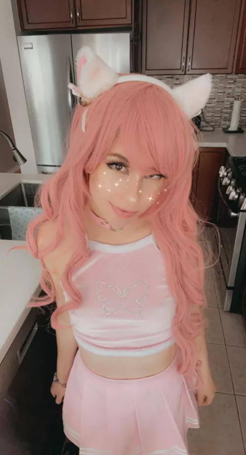 💗 Stray kitty looking for a home 💗