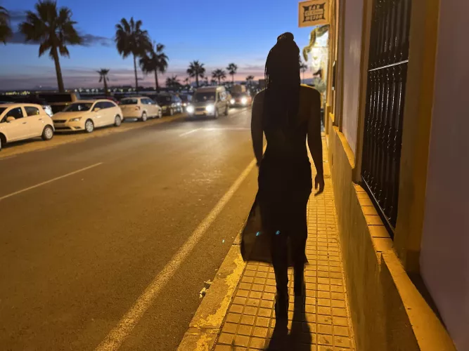 Streetlights and palm trees