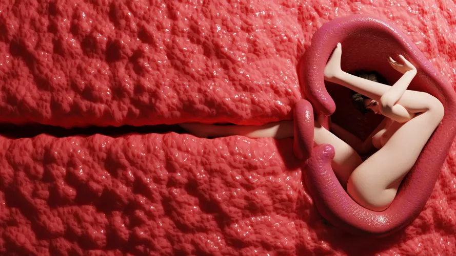 Stuck in the womb (Signal-sunset)