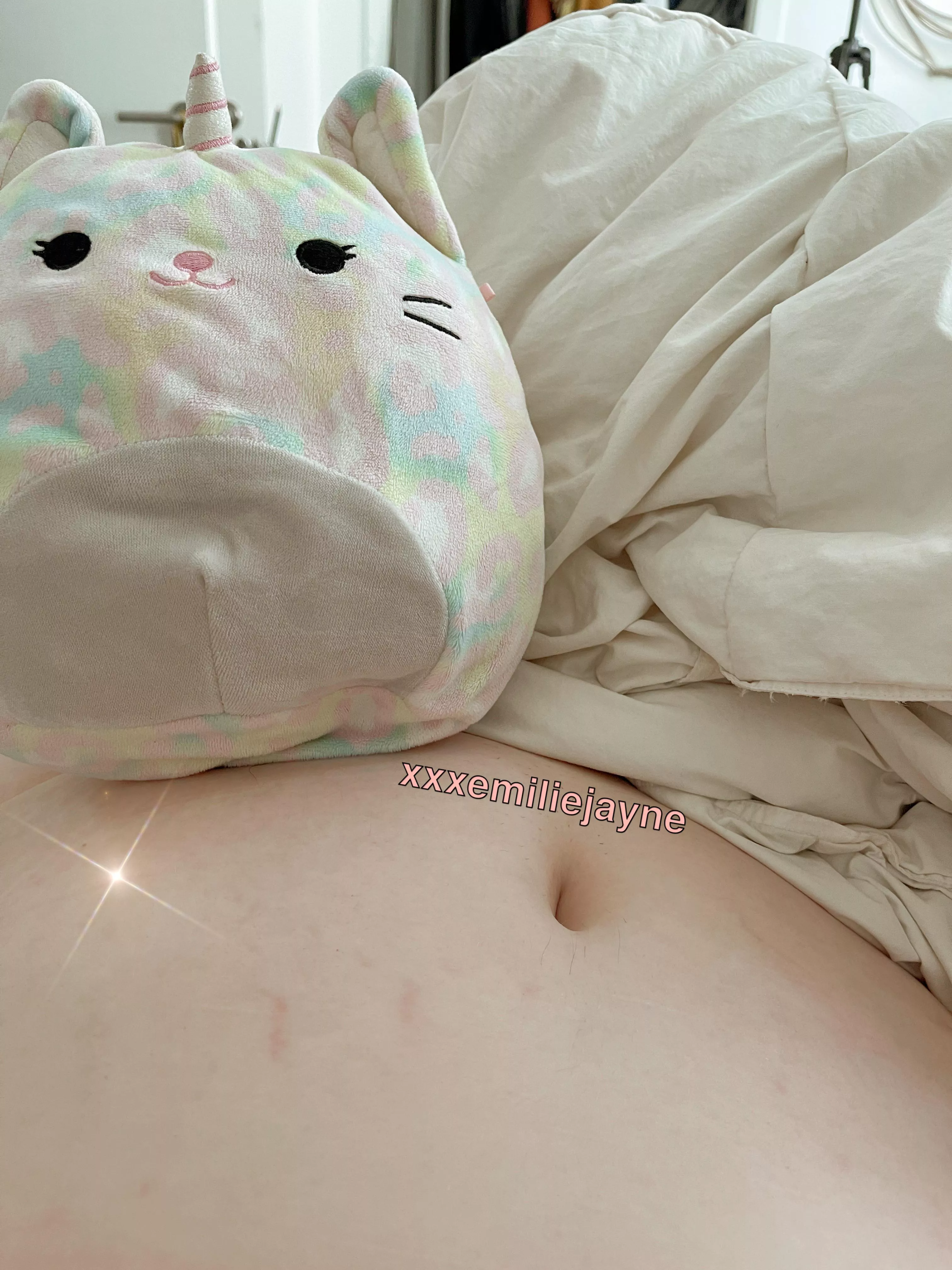 stuffies and tummies! stuffies and tummies!