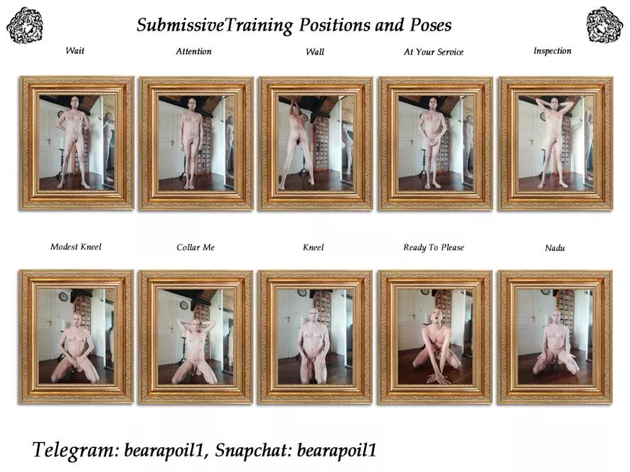 Submissive Training Positions and Poses 😉