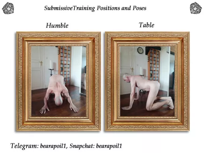 Submissive Training Positions and Poses 😉