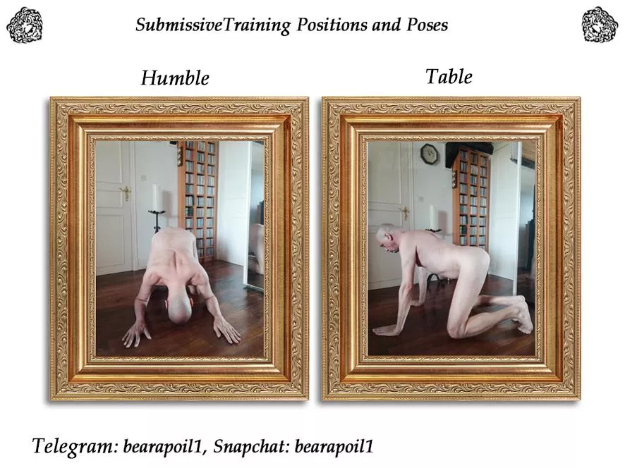 Submissive Training Positions and Poses 😉