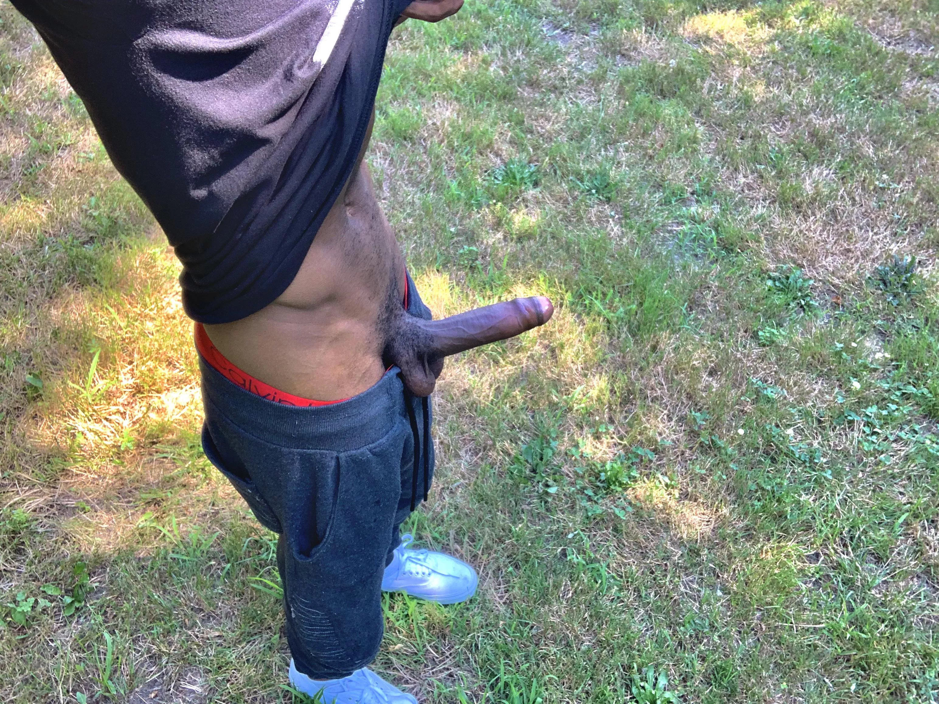 Suck me off in front of all these nice people