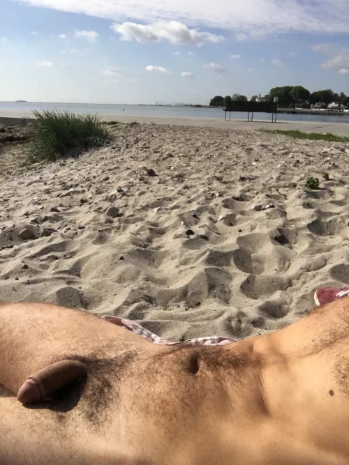 Summer at the Baltic