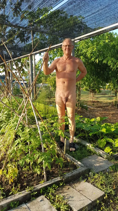 Sunday morning in my garden