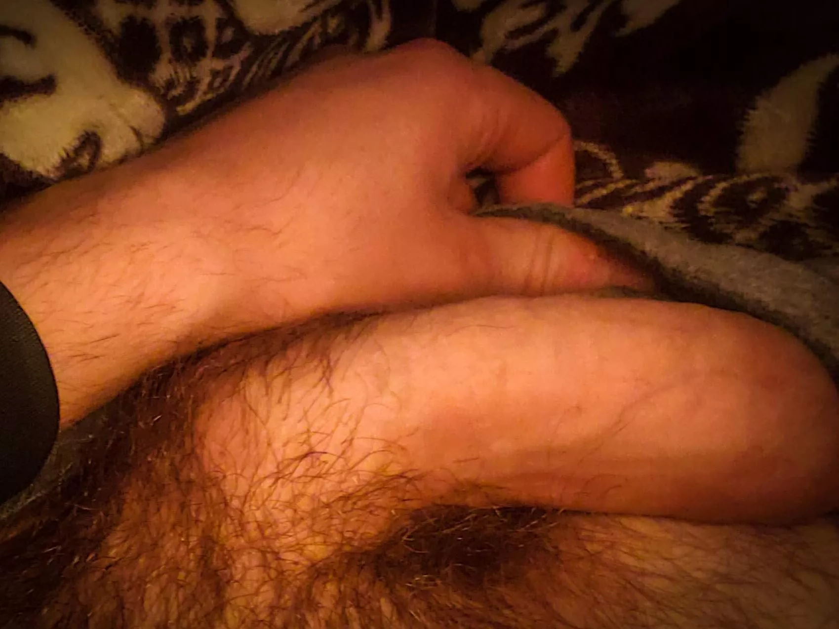 Sun-kissed Arab cock for your early morning enjoyment.